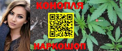 стаф Беслан
