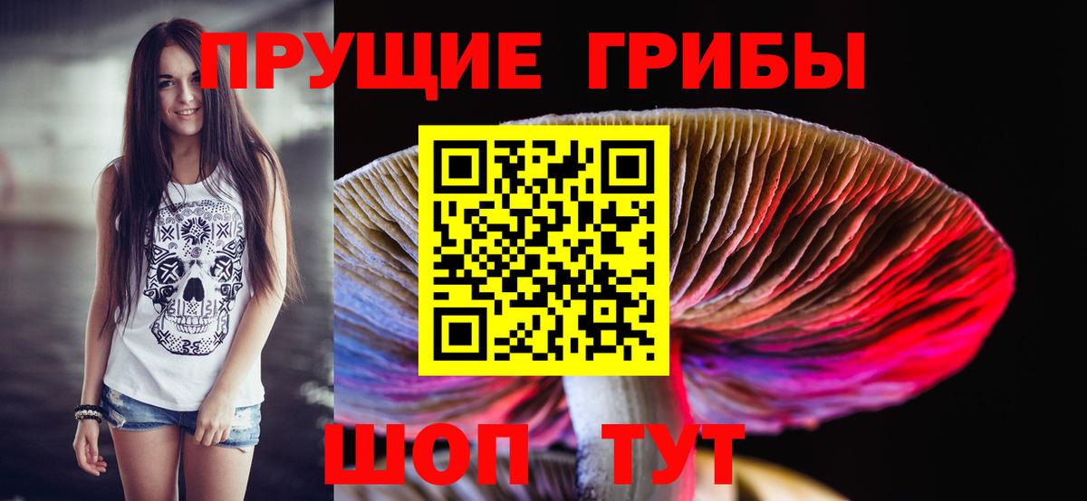 Псилоцибиновые грибы ЛСД Зерноград